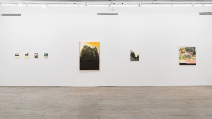 A group of abstract paintings in various sizes hanging on a wall.